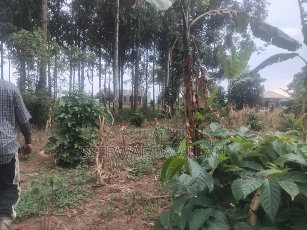 25 Decimals Plot in Seeta for Sale