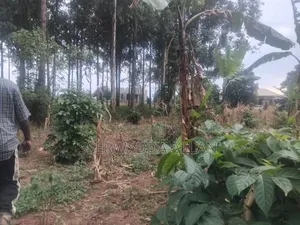 25 Decimals Plot in Seeta for Sale