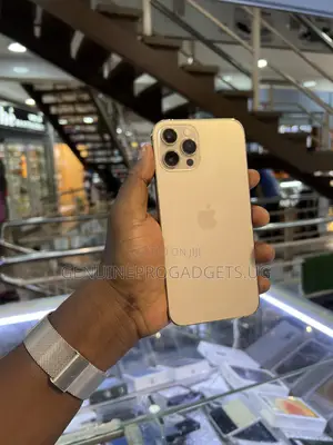 Apple iPhone 13 Pro Max 256 GB Gold