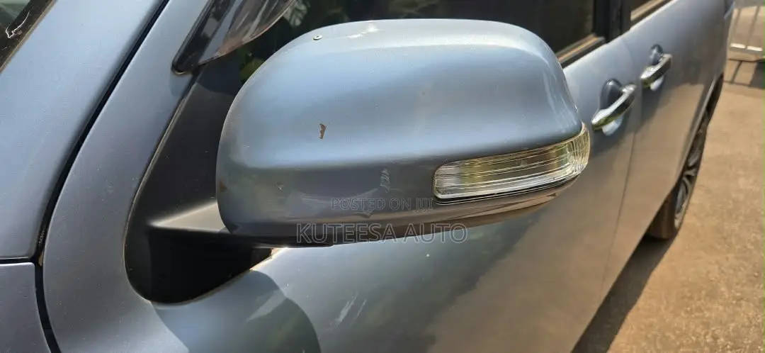 Car Side Mirror Plate
