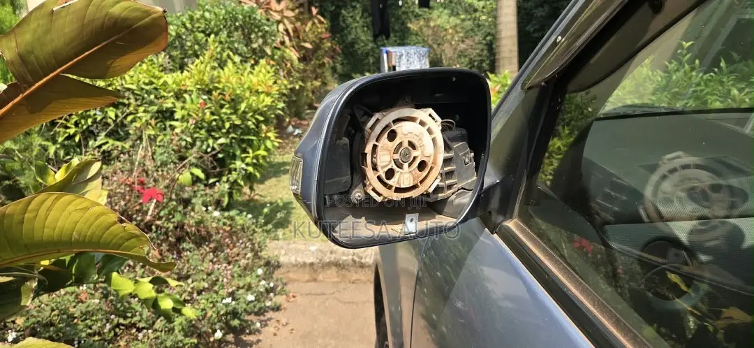 Car Side Mirror Plate