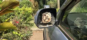 Car Side Mirror Plate