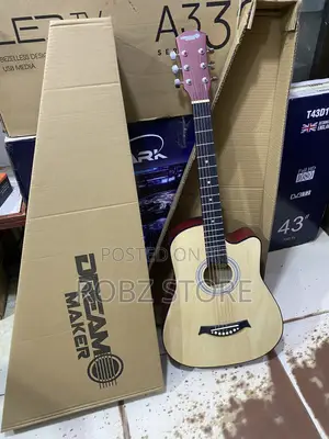 Acoustic Guitar