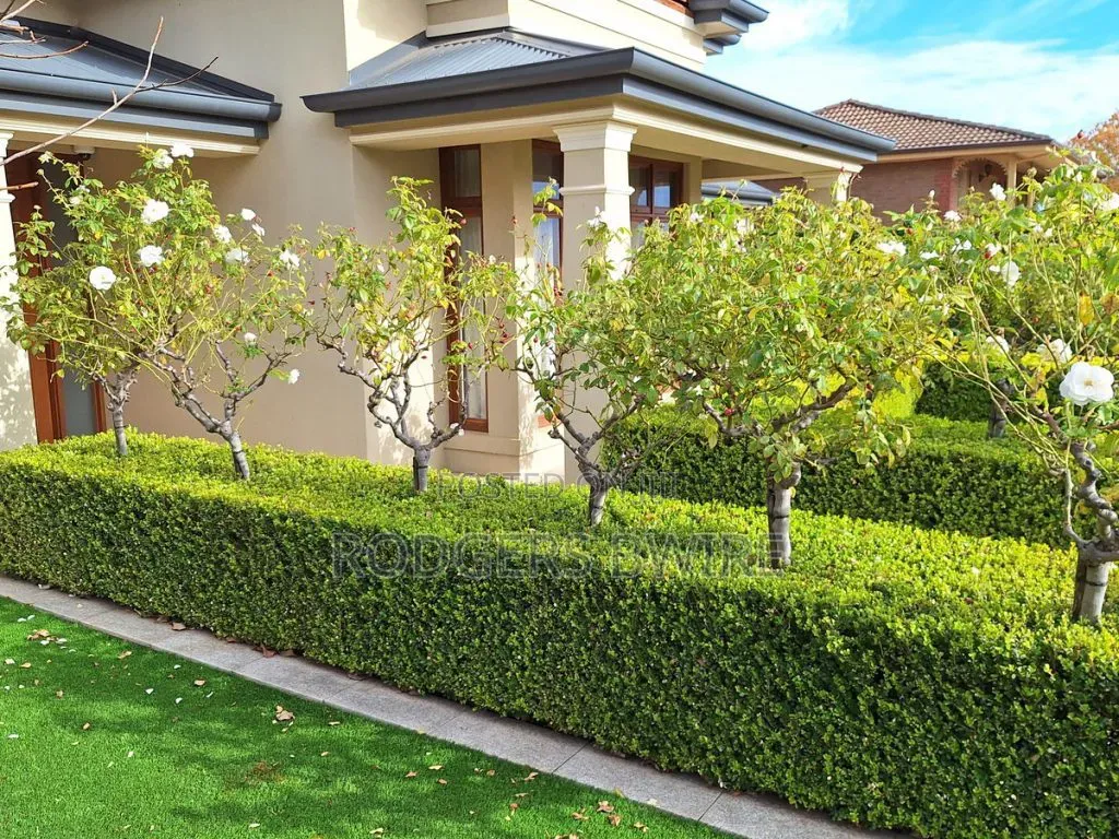 Compound Designing