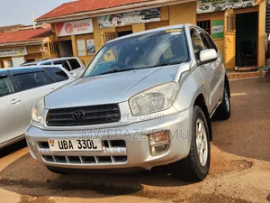 Toyota RAV4 2004 Silver