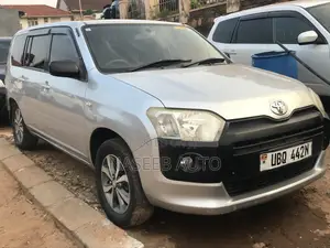 Toyota Probox 2010 Silver