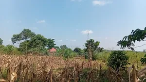 0.7 Acres Freehold Titled Land – Jinja City