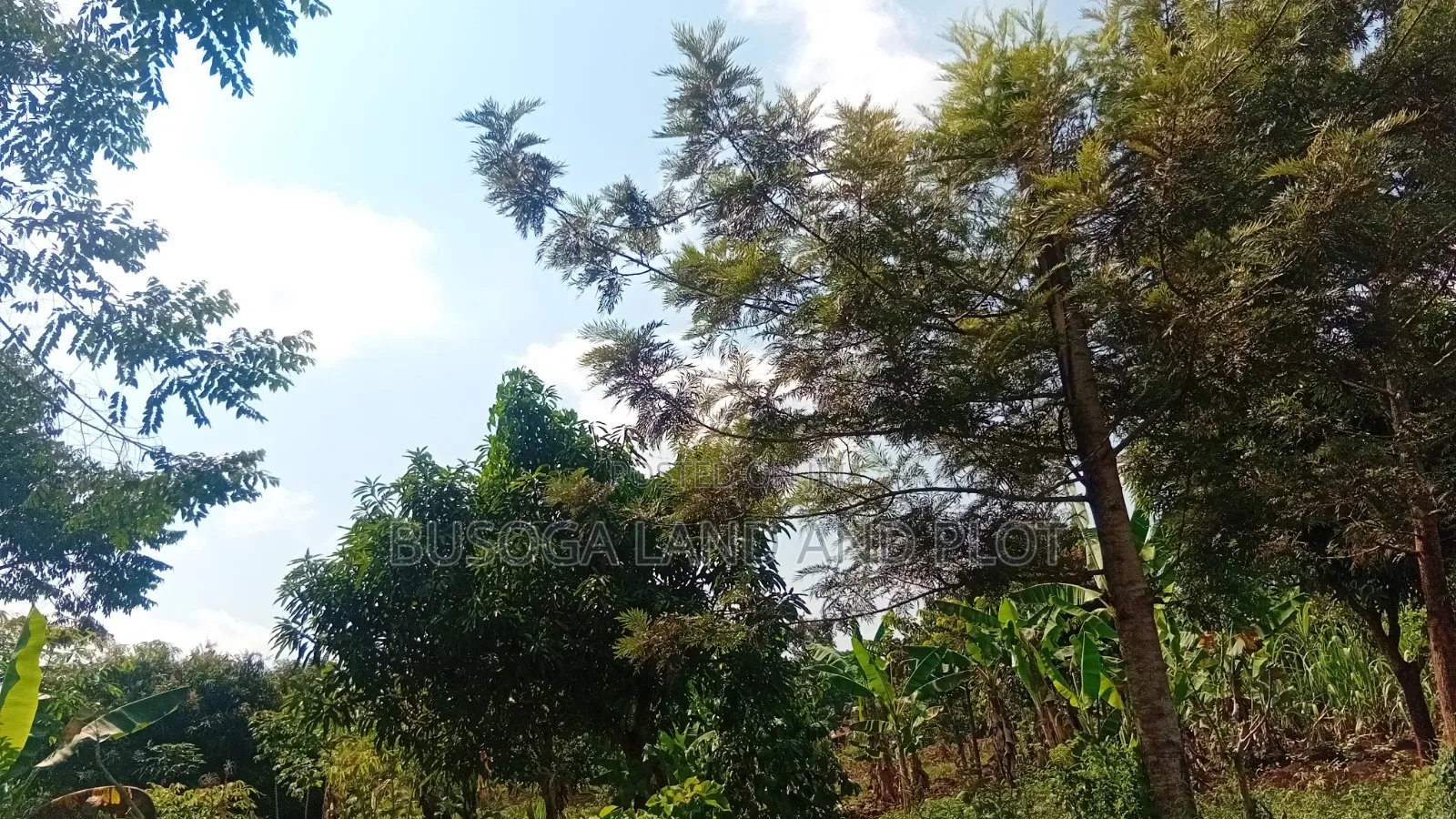 0.7 Acres Freehold Titled Land – Jinja City
