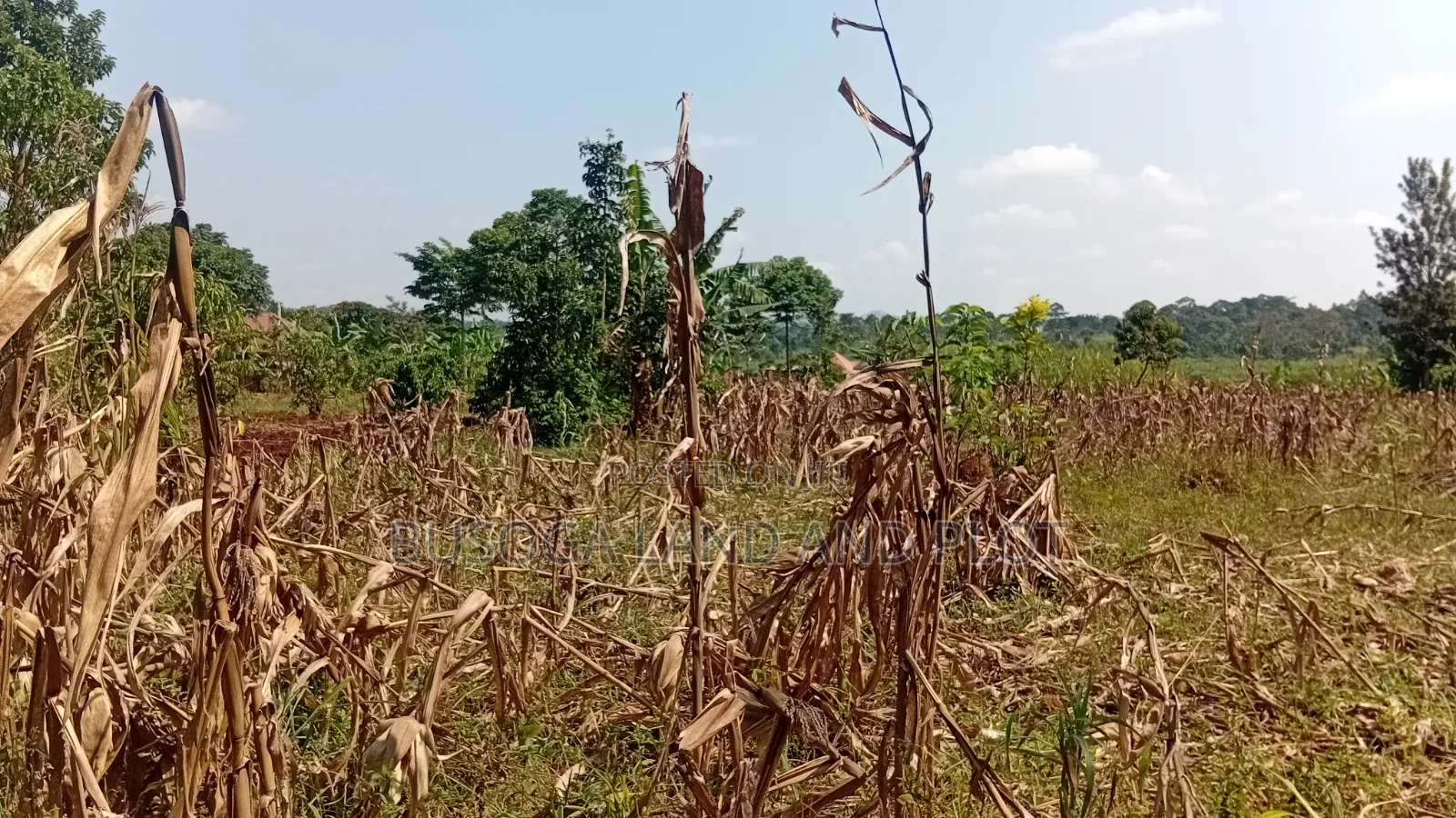 0.7 Acres Freehold Titled Land – Jinja City