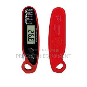 2 Probe Digital Thermometer