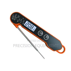 2 Probe Digital Thermometer