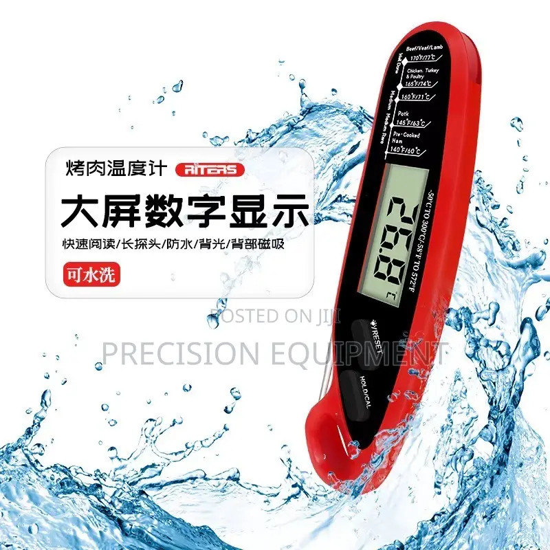 2 Probe Digital Thermometer