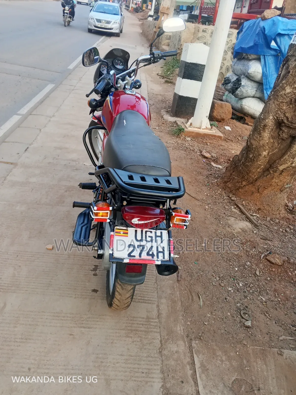 Bajaj CT 125X 2024 Red