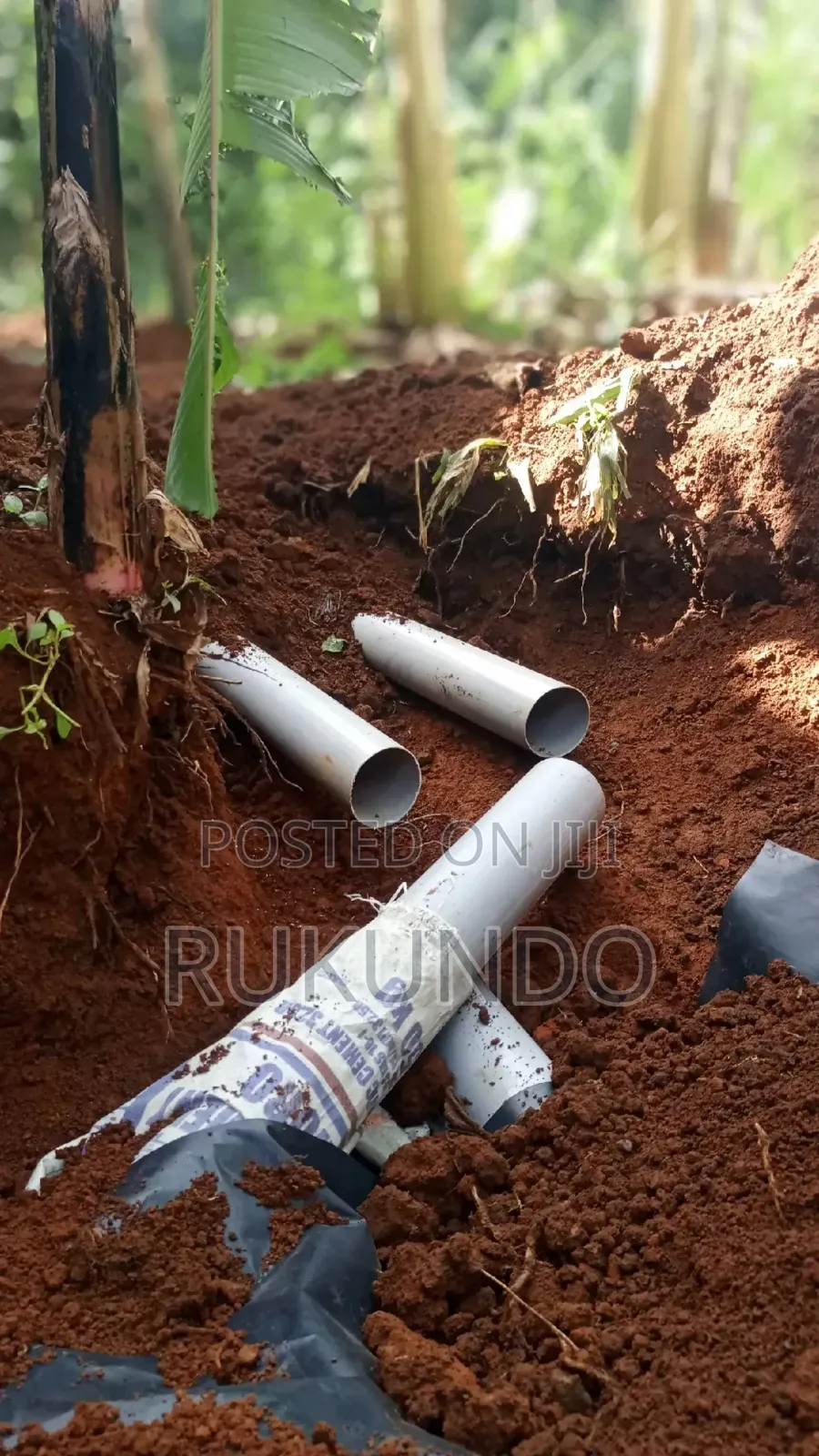 Affordable Plumbing Services