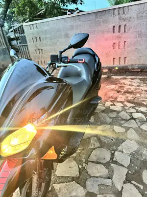 Honda Forza 2007 Black