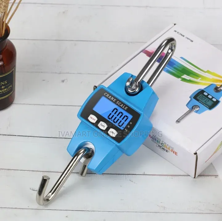 Mini Crane Digital Scale - 300 KGS Capacity