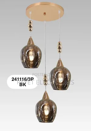 2411/3bk Pendant Lamp Holder 3in1
