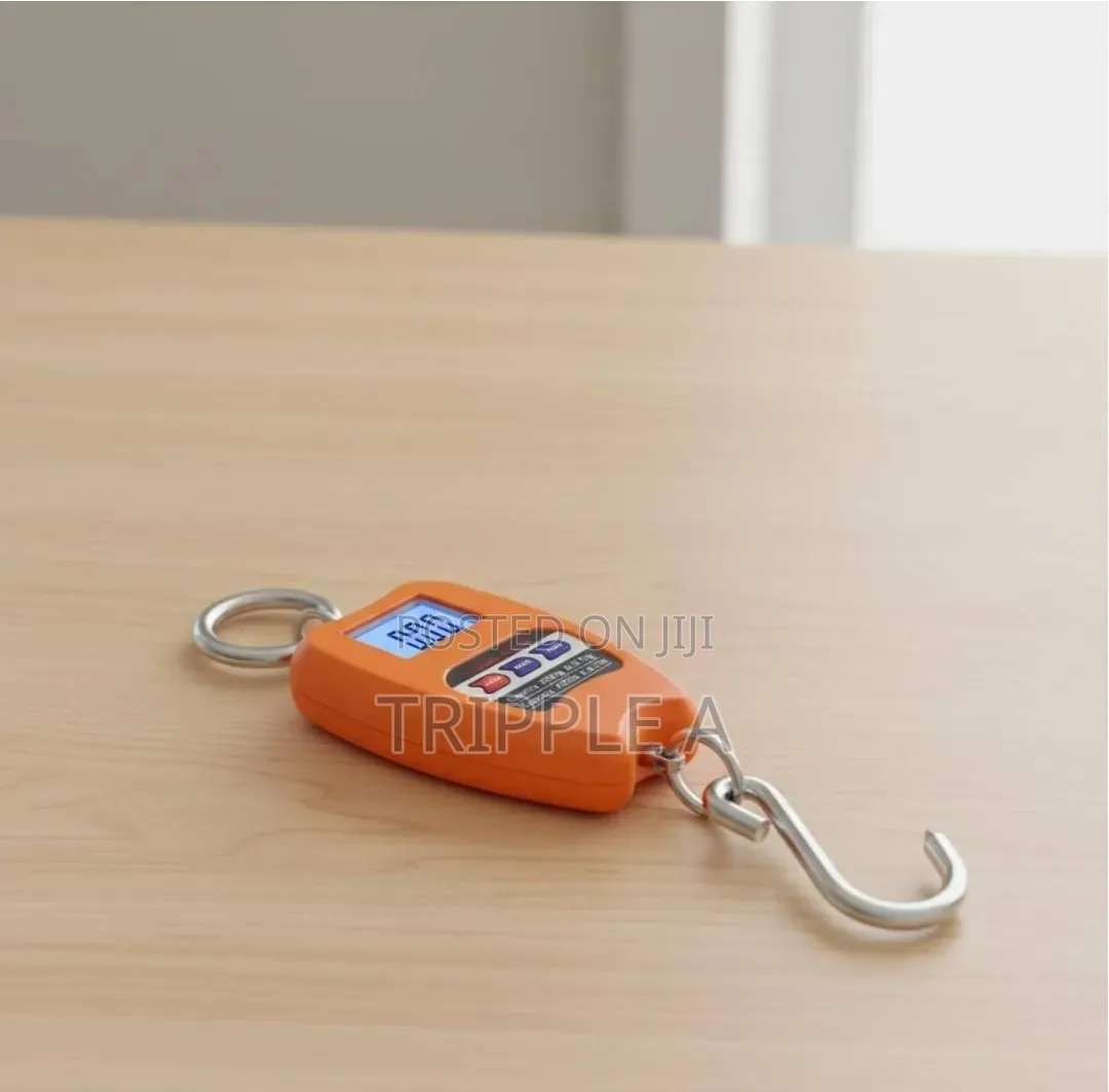 100kg Mini Crane Scale