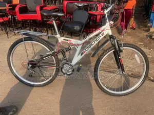 Mountain White Bike
