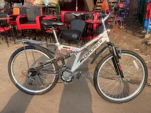 Mountain White Bike
