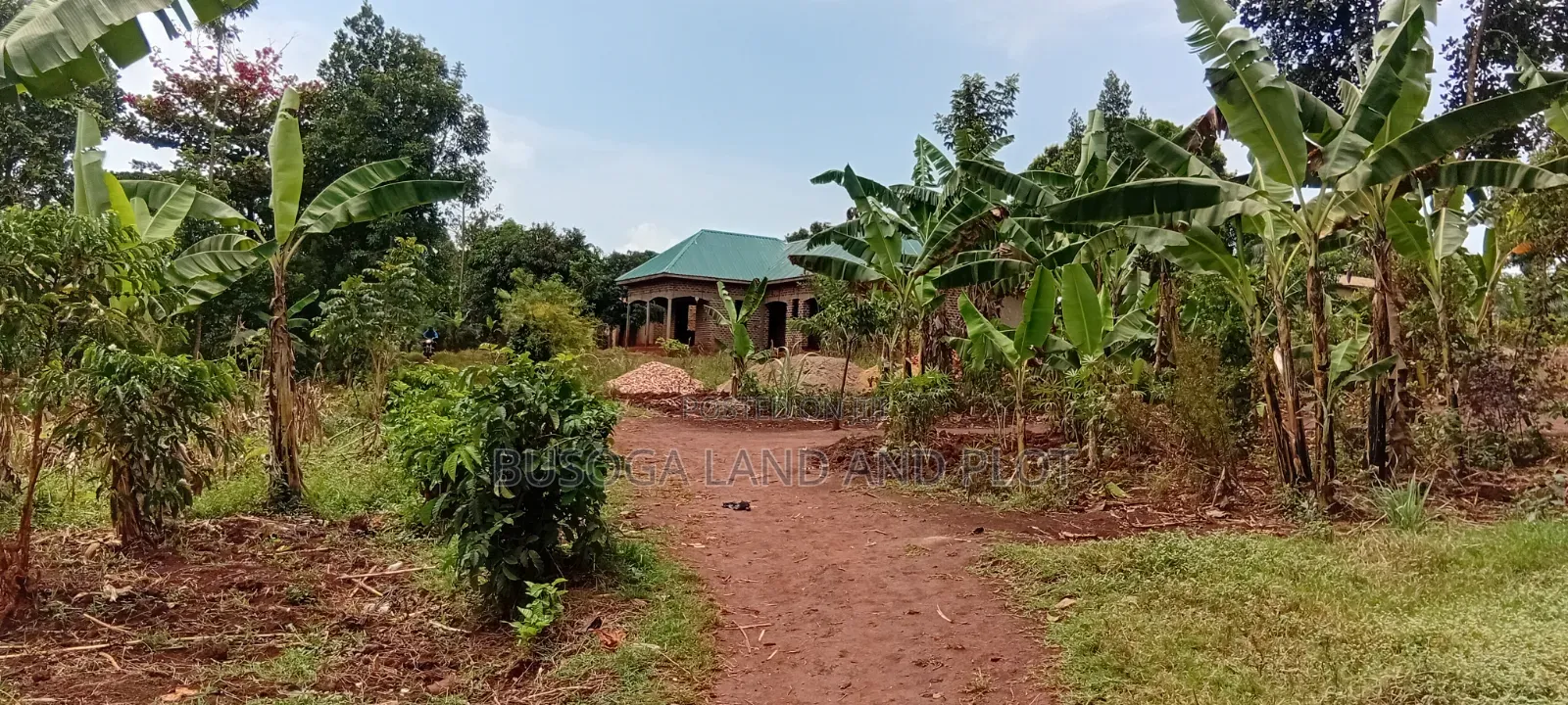 100×100 Ft Plot, Bujjagali, Jinja City at UGX 26m
