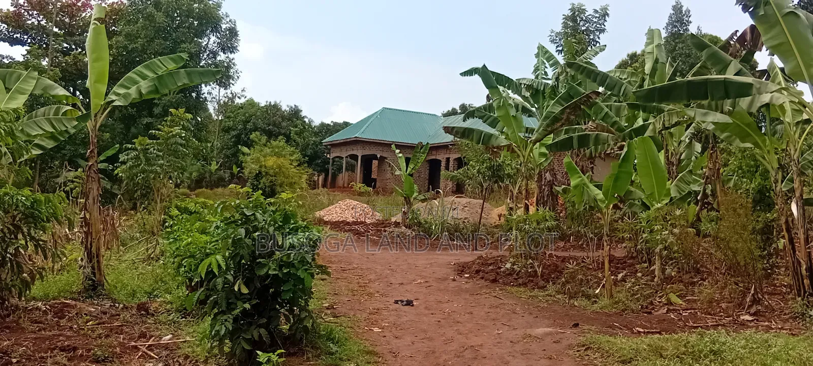 100×100 Ft Plot, Bujjagali, Jinja City at UGX 26m