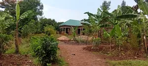 100×100 Ft Plot, Bujjagali, Jinja City at UGX 26m
