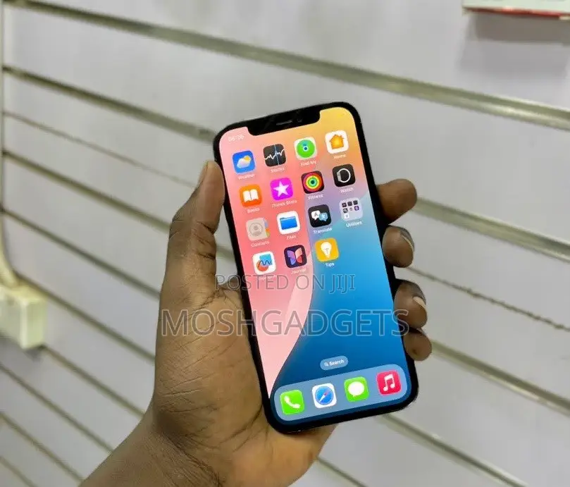 Apple iPhone 11 Pro Max 256 GB Gray