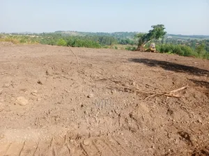 Namayumba Hill View Plots