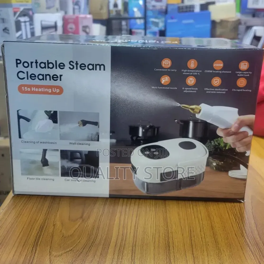 Portable Steam Cleaner