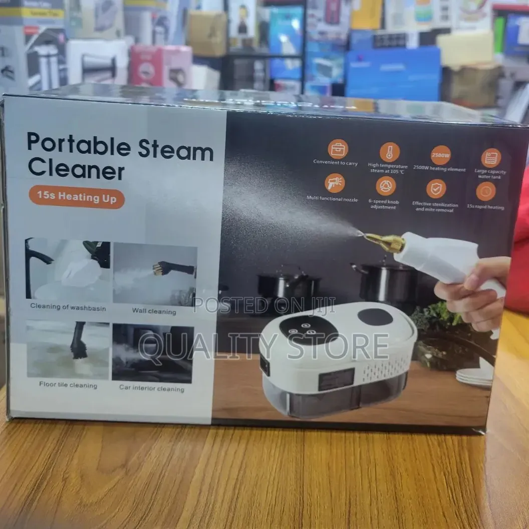 Portable Steam Cleaner