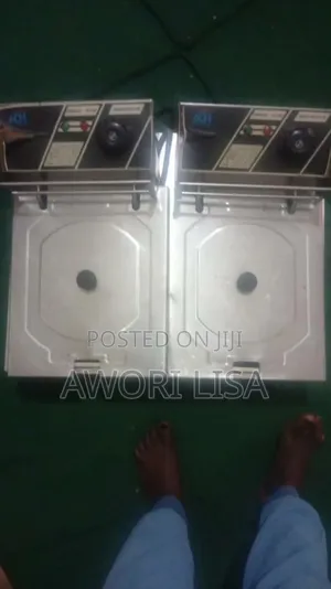 Double Silver ADH Deep Frier, for Electricity Can Use 5 Litres Each