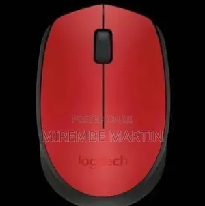 Silent Wireless Optical Mouse With Ergonomic Design