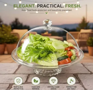 Clear Acrylic Dome Food Cover