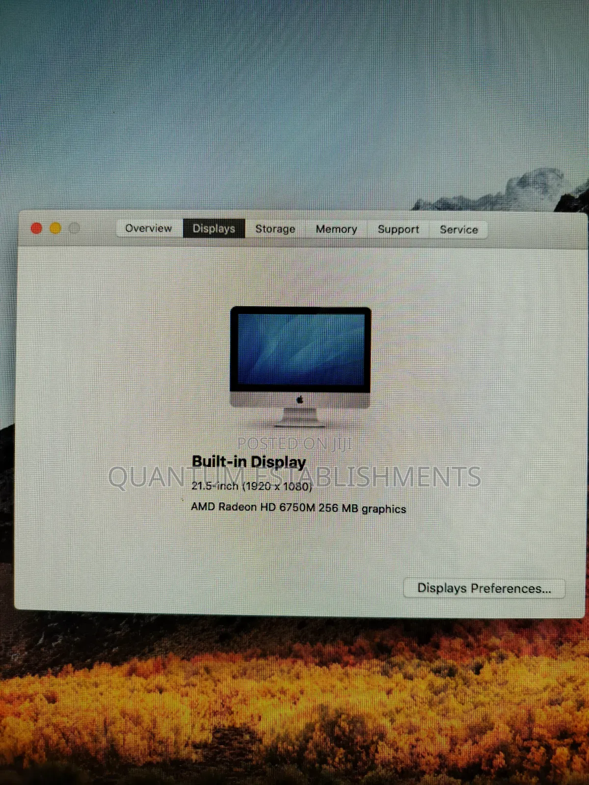 Desktop Computer Apple iMac 6GB Intel Core i3 HDD 320GB