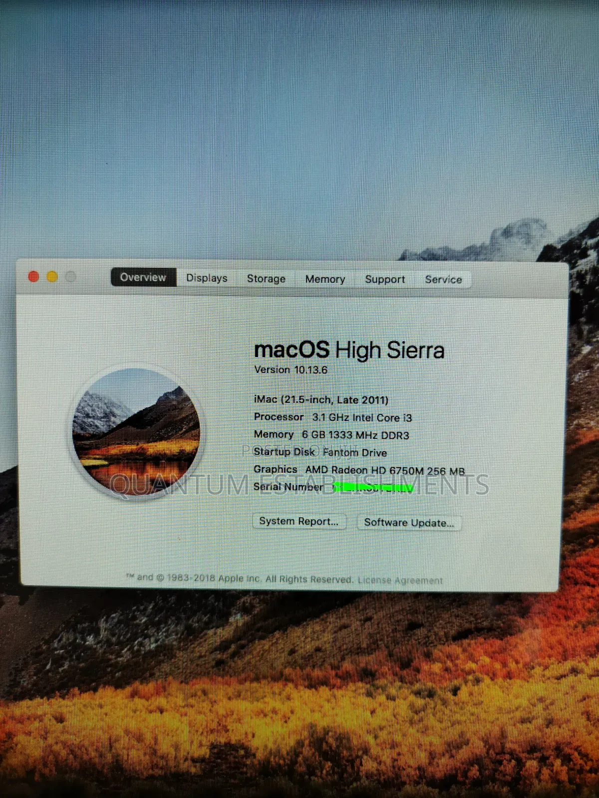 Desktop Computer Apple iMac 6GB Intel Core i3 HDD 320GB