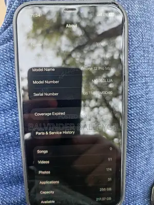 Apple iPhone 12 256 GB Gray