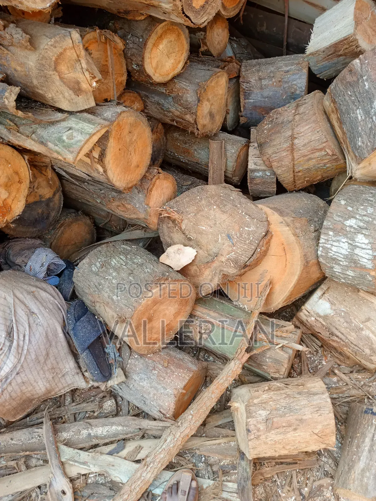 Wood for Sale