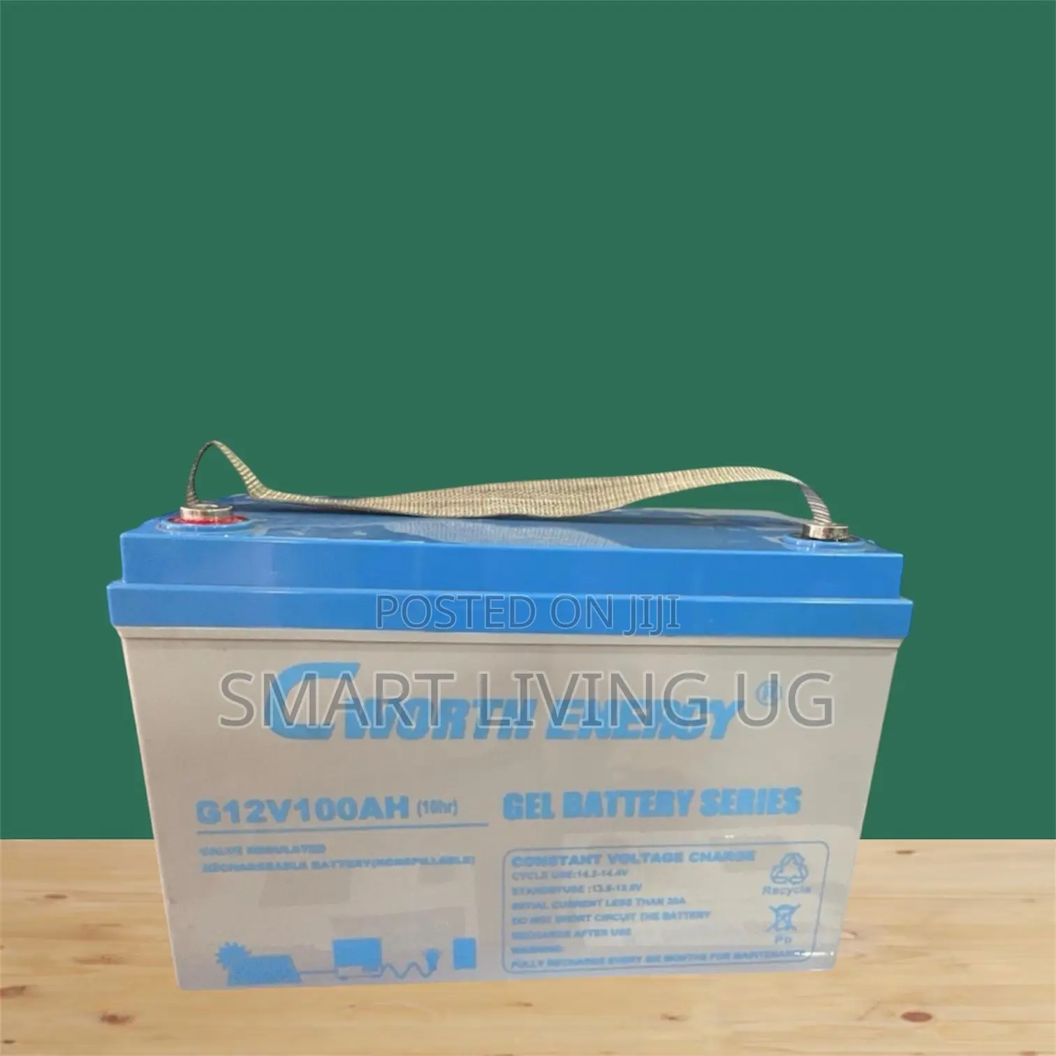 Top Quality Cworth Energy 12V 100Ah Gel Battery