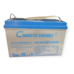 Top Quality Cworth Energy 12V 100Ah Gel Battery