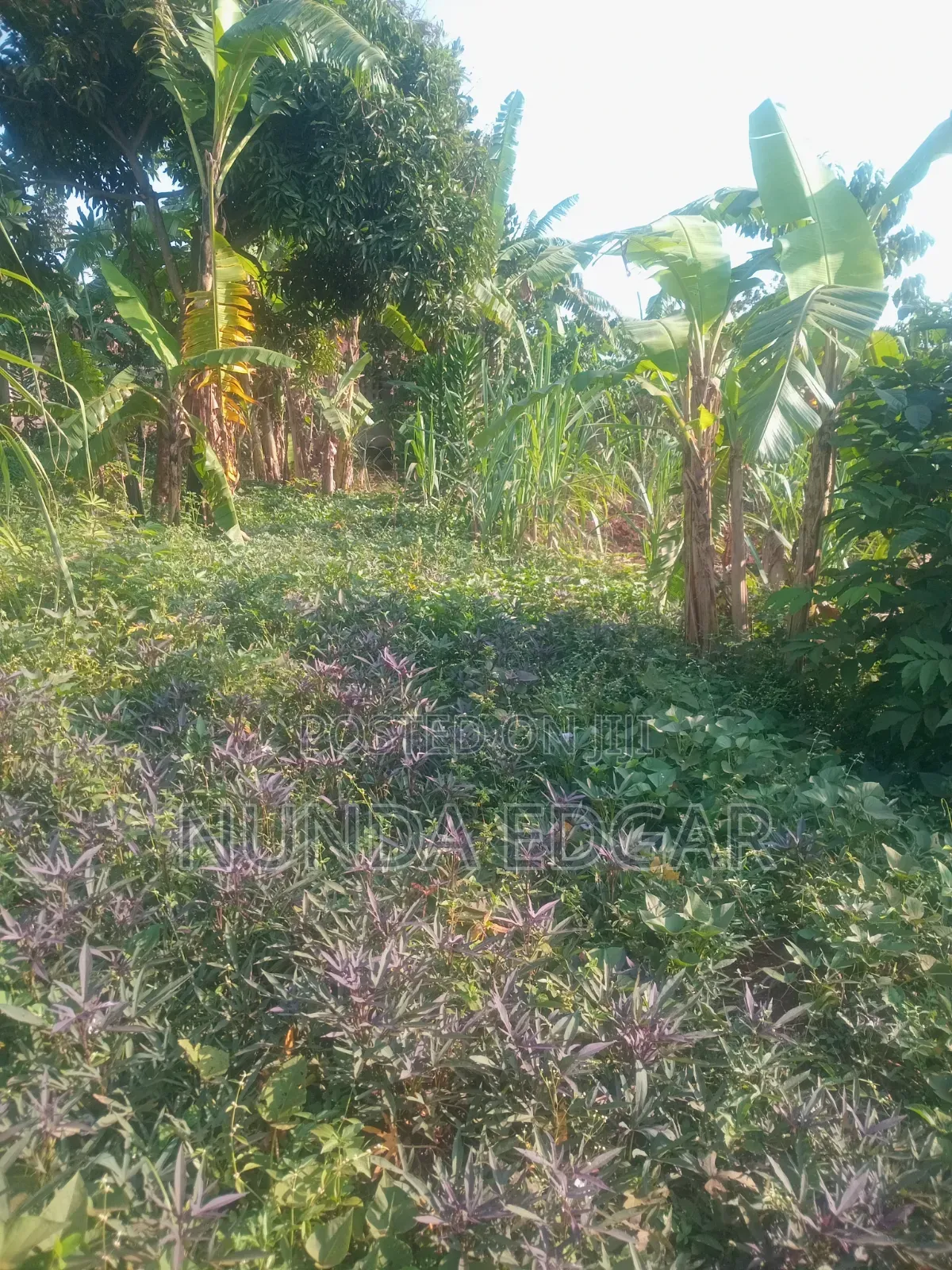 Land at Affordable Price