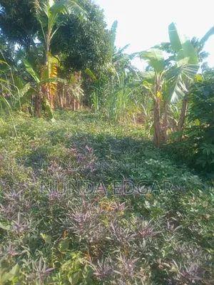 Land at Affordable Price