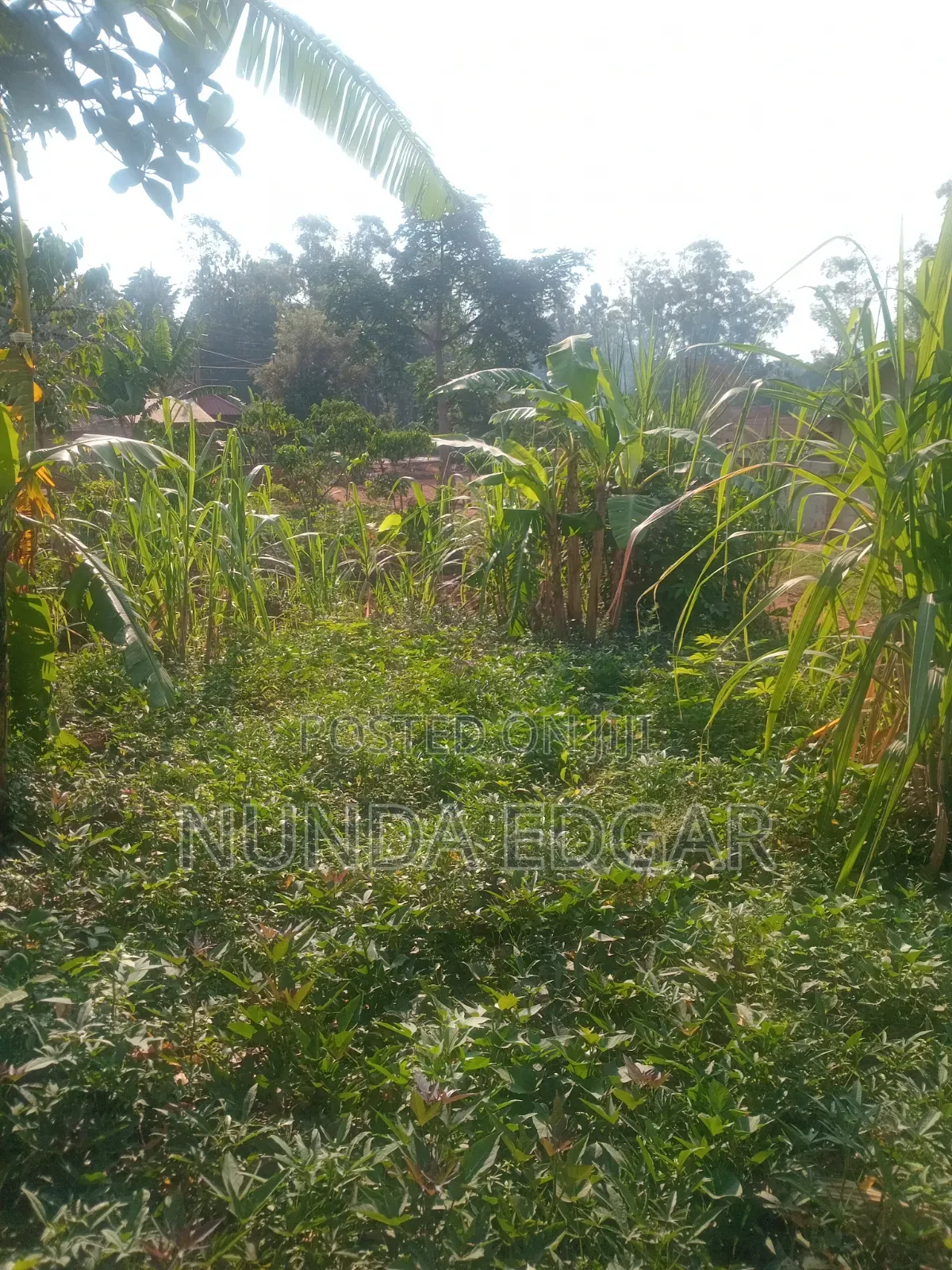 Land at Affordable Price