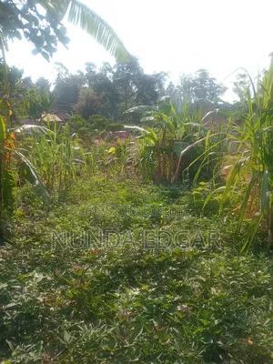 Land at Affordable Price
