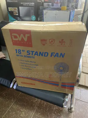 DW Standing Fan