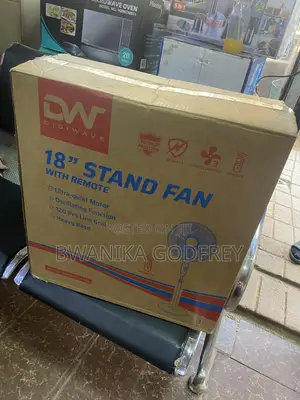 DW Standing Fan