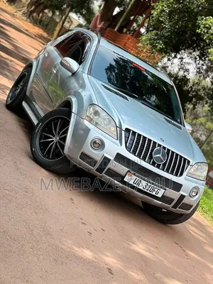Mercedes-Benz M Class 2010 Silver