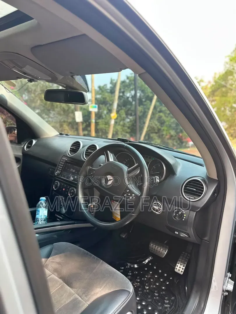 Mercedes-Benz M Class 2010 Silver