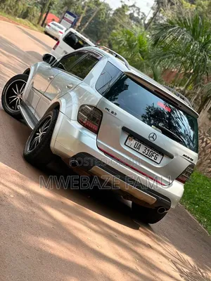 Mercedes-Benz M Class 2010 Silver