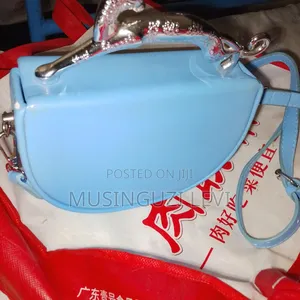 Ladies Bags